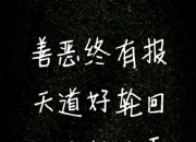 乐鱼真人体育娱乐-被阿卡让二追三逆转整丢泼天富贵，辛纳难过表示：今晚睡不着了的简单介绍