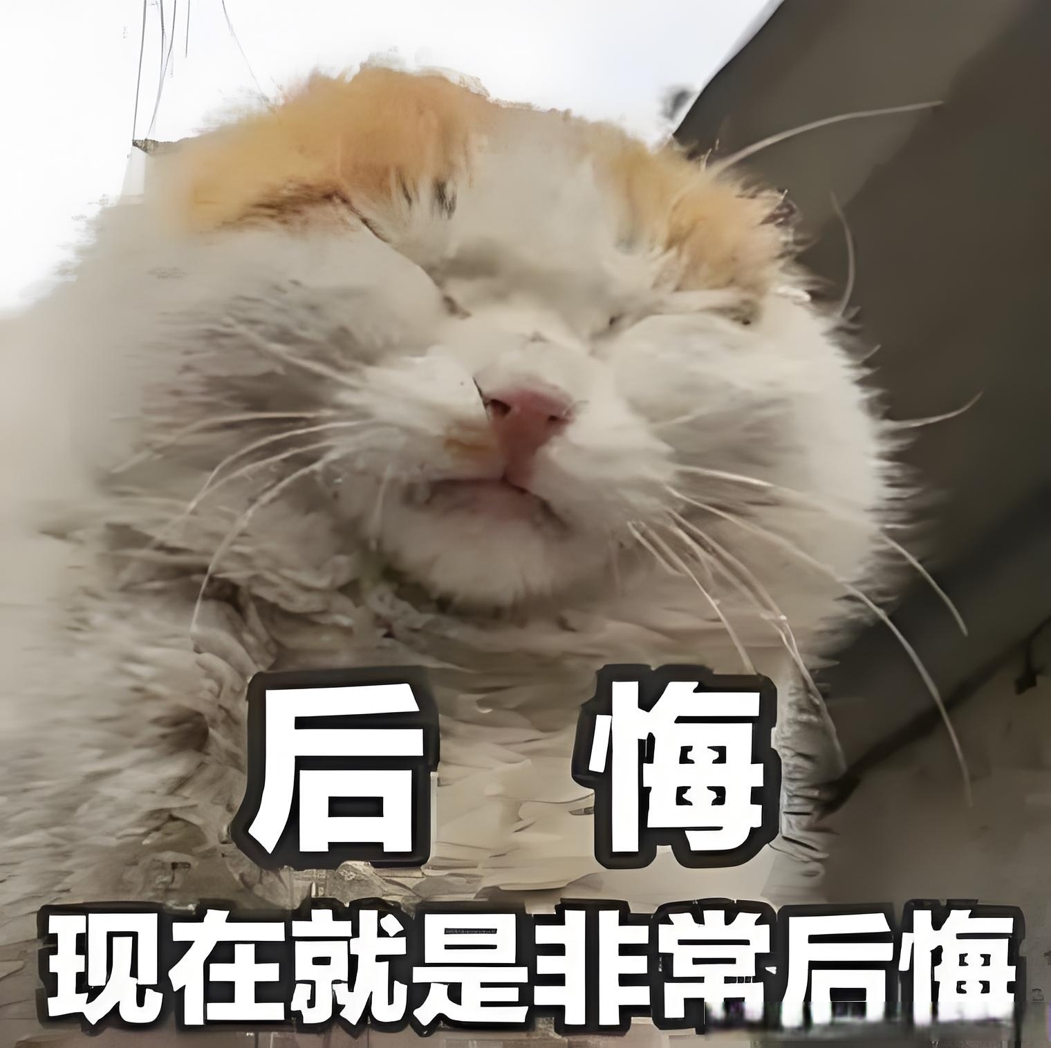 被阿卡让二追三逆转整丢泼天富贵，辛纳难过表示：今晚睡不着了的简单介绍